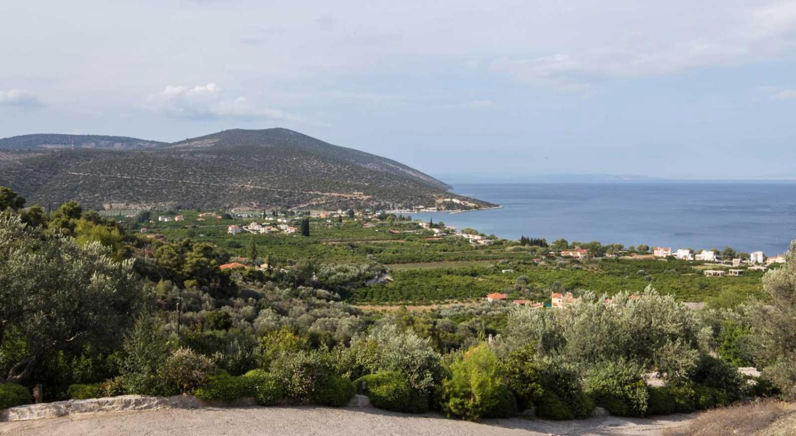 Elia Junior Suite In Epidavros With Shared Pool Νέα Επίδαυρος Εξωτερικό φωτογραφία